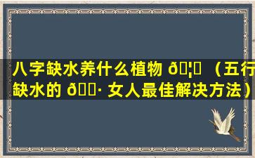 八字缺水养什么植物 🦟 （五行缺水的 🌷 女人最佳解决方法）